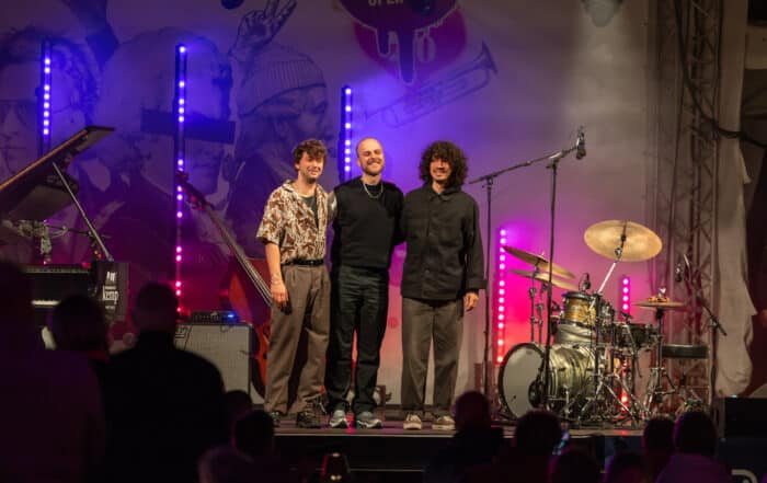 Das Luca-Sestak-Trio tritt auf der Bühne des meetMUSIC Open Air auf, während violettes Licht leuchtet.